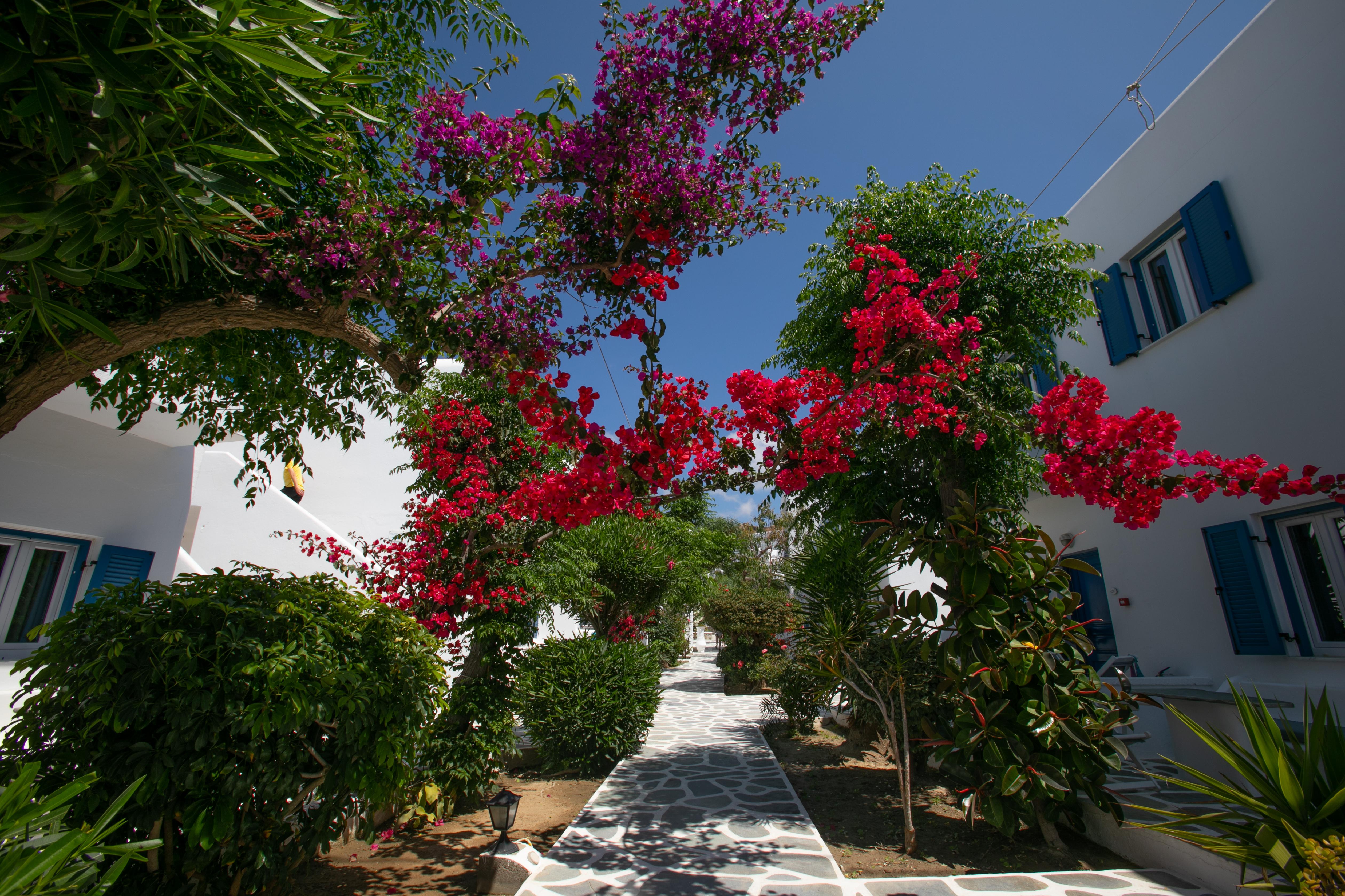 Acrogiali Beachfront Mykonos 4* Platys Gialos (Mykonos)