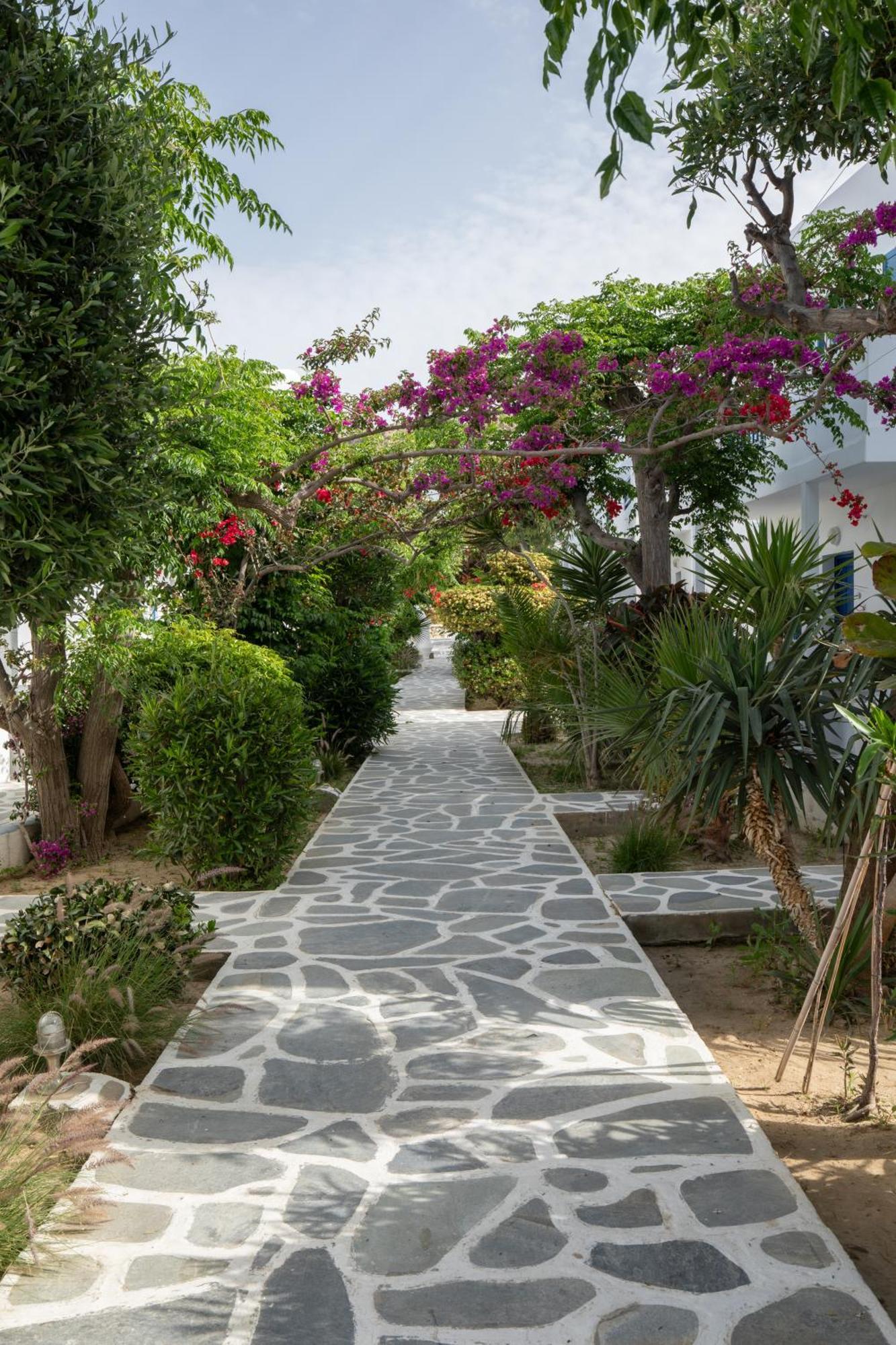 Hotel Acrogiali Beachfront Mykonos Platis Yialos